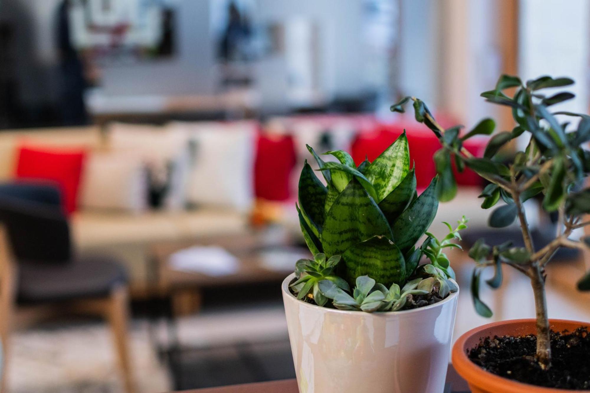 Hotel Urban Baia Mare Zewnętrze zdjęcie